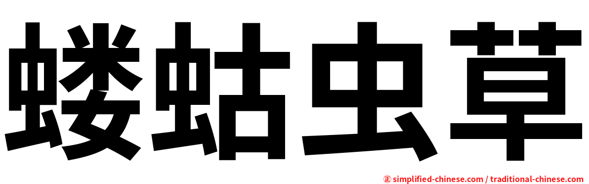 蝼蛄虫草