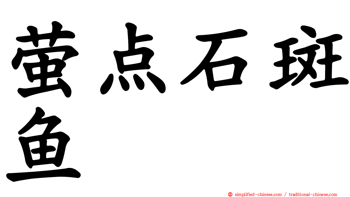 萤点石斑鱼