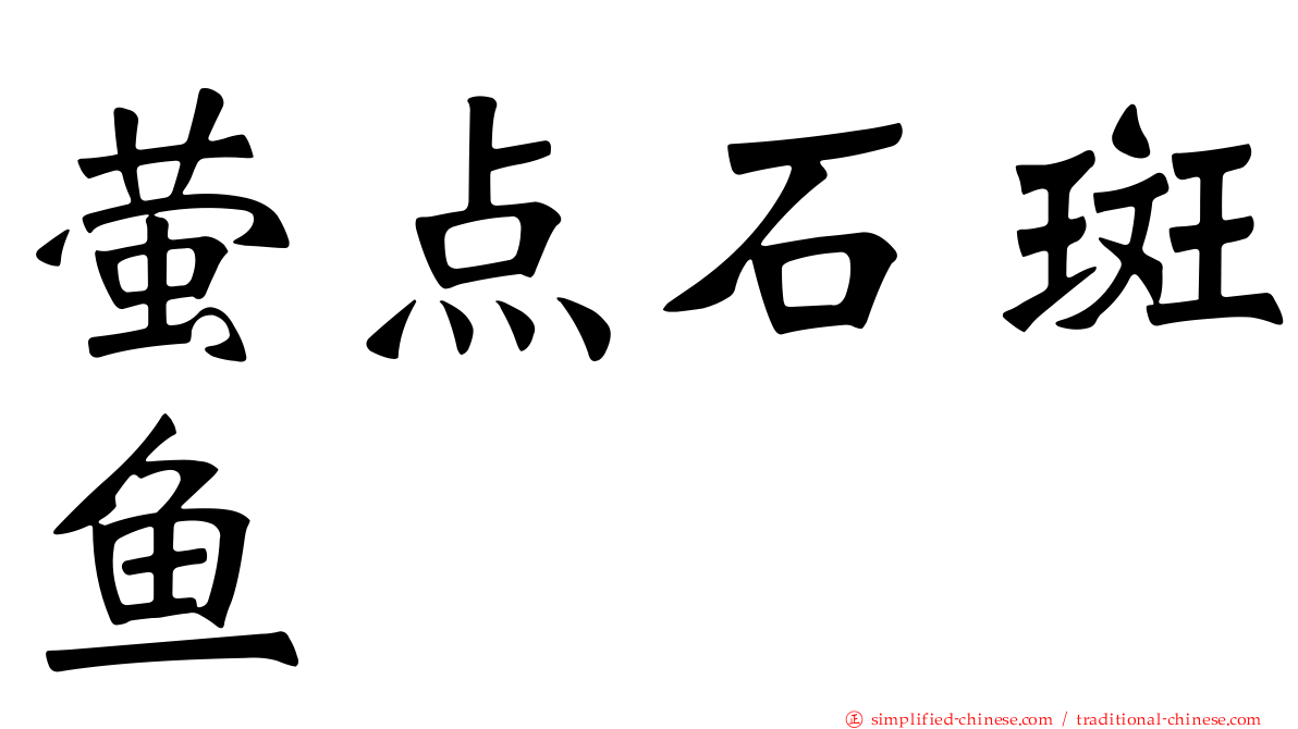 萤点石斑鱼