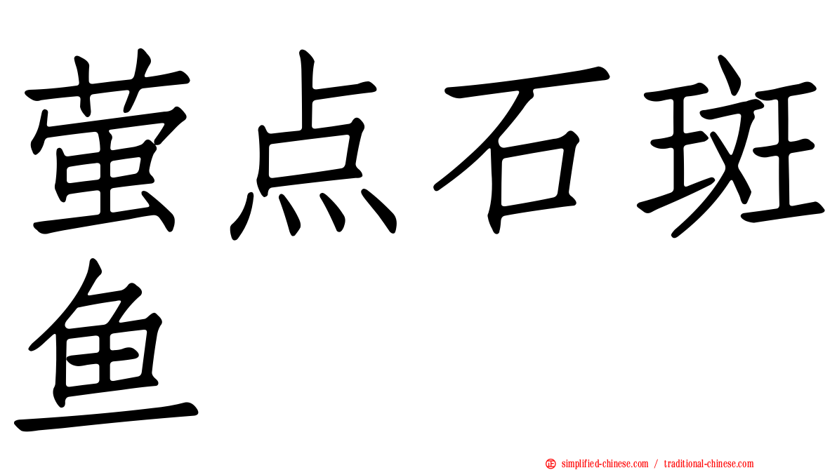 萤点石斑鱼