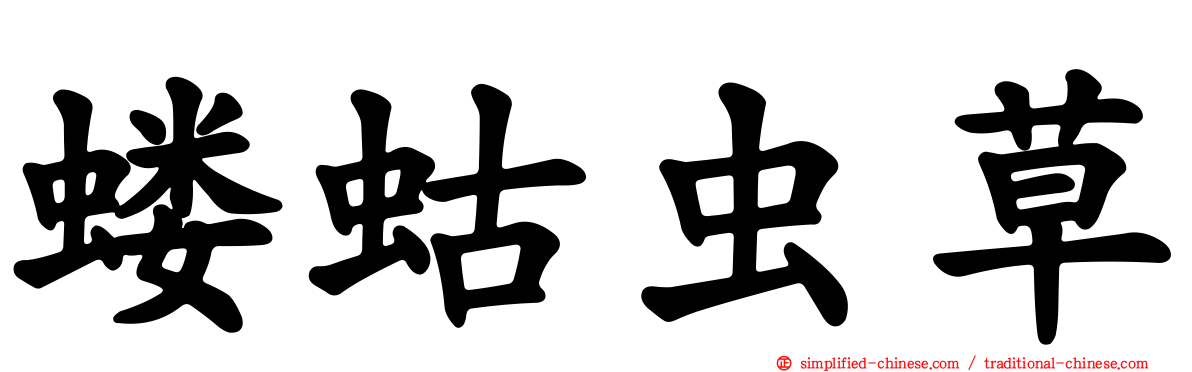 蝼蛄虫草
