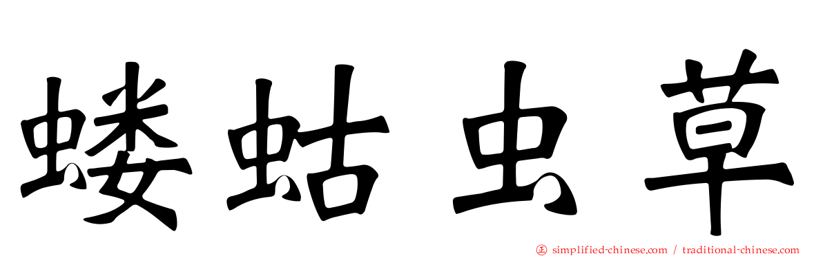 蝼蛄虫草