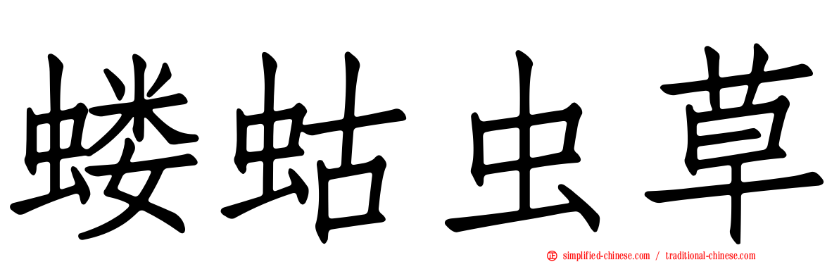蝼蛄虫草