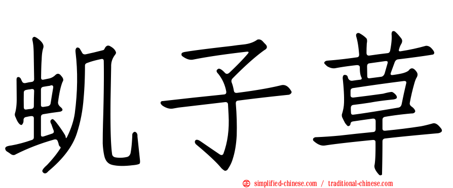 虮子草