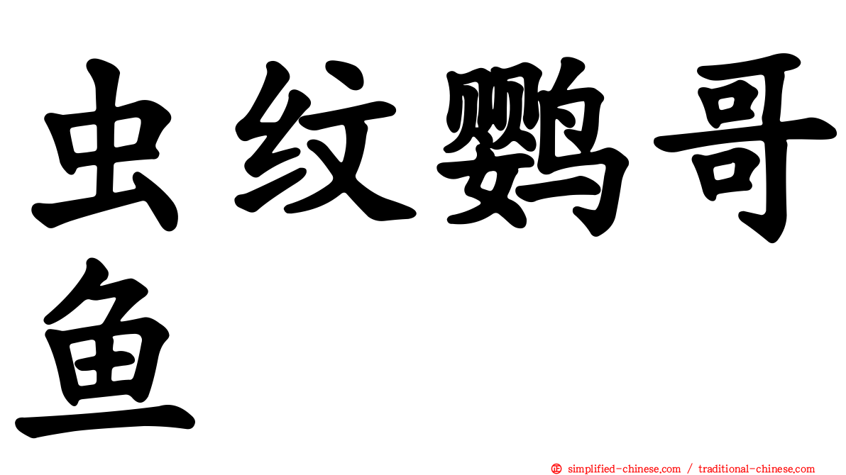 虫纹鹦哥鱼