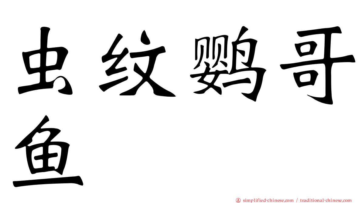 虫纹鹦哥鱼