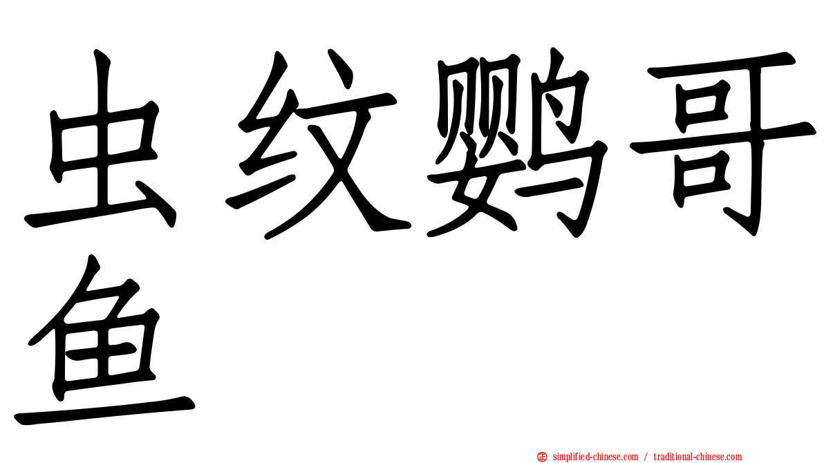 虫纹鹦哥鱼