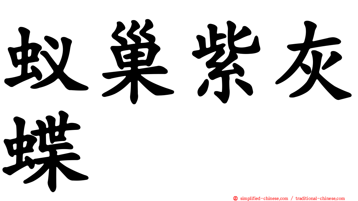 蚁巢紫灰蝶