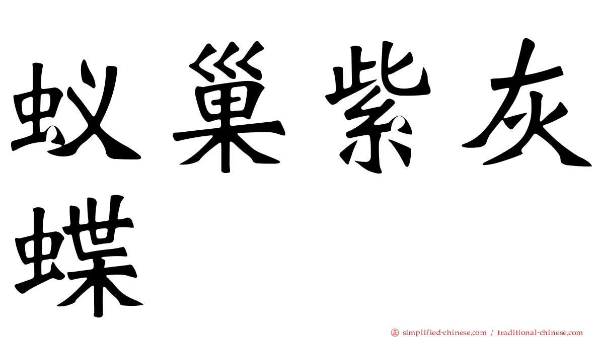 蚁巢紫灰蝶