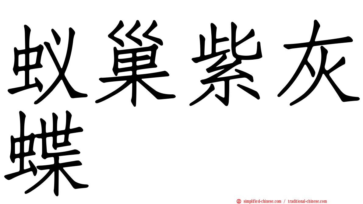 蚁巢紫灰蝶