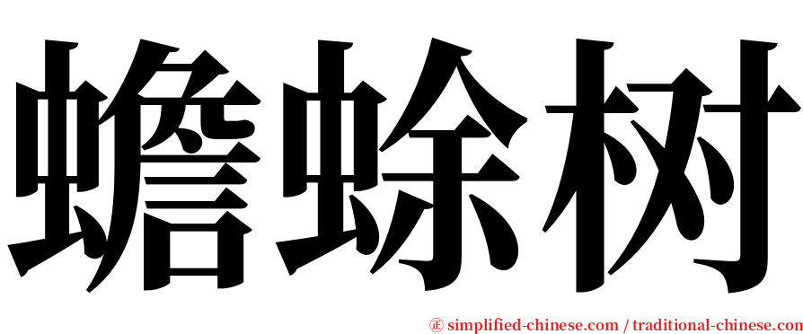 蟾蜍树 serif font