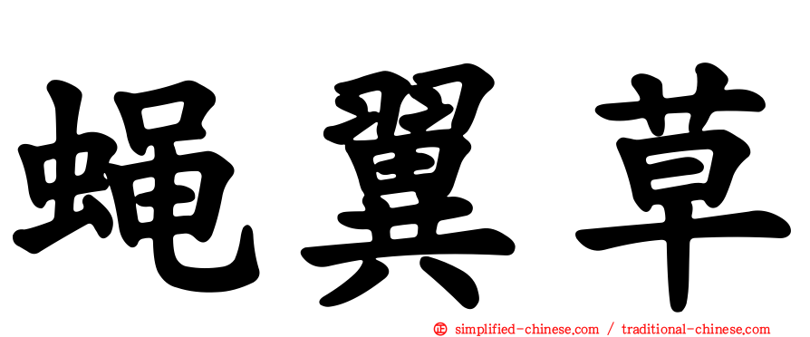 蝇翼草