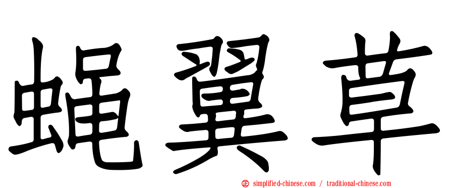 蝇翼草