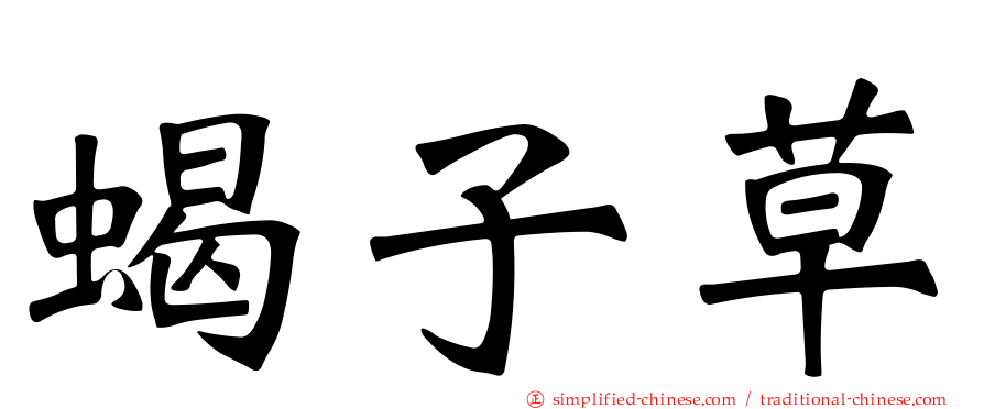 蝎子草