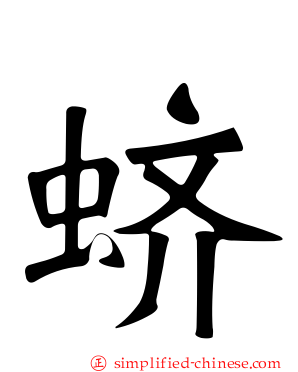 蛴