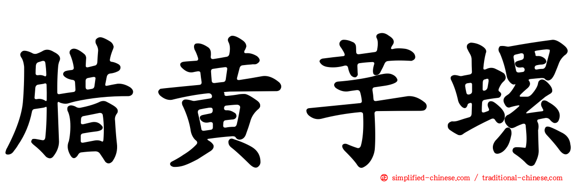 蜡黄芋螺