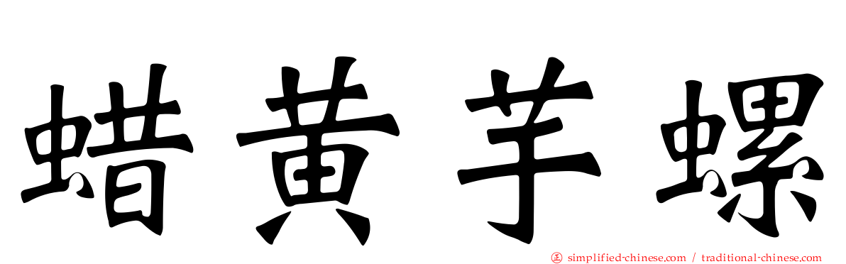 蜡黄芋螺