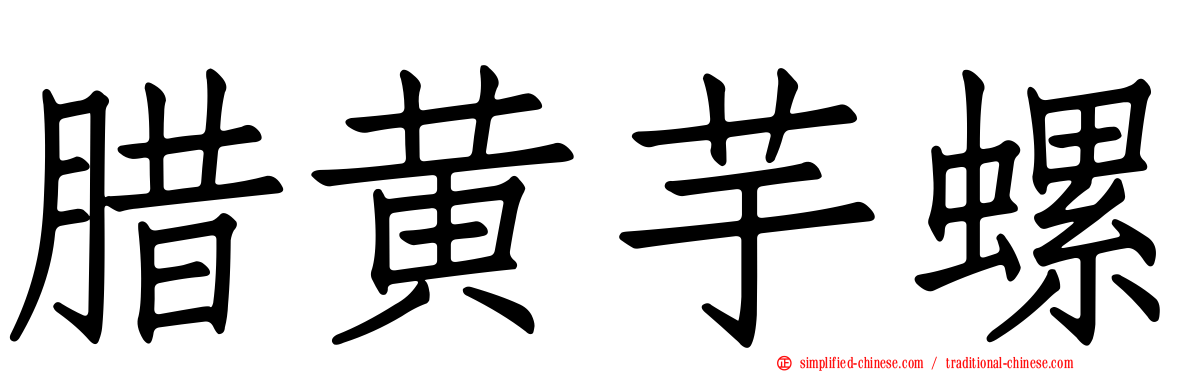 蜡黄芋螺