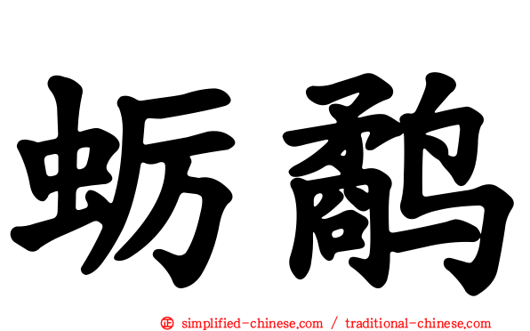 蛎鹬