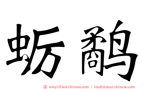 蛎鹬