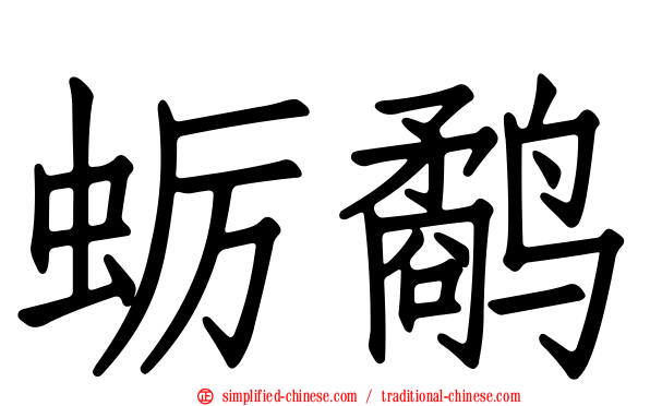 蛎鹬
