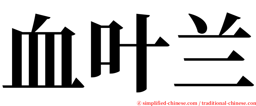 血叶兰 serif font