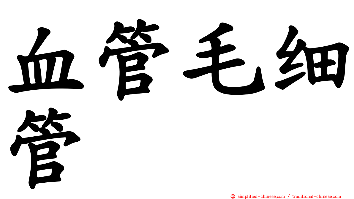 血管毛细管
