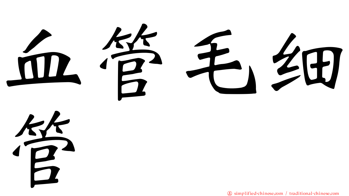 血管毛细管