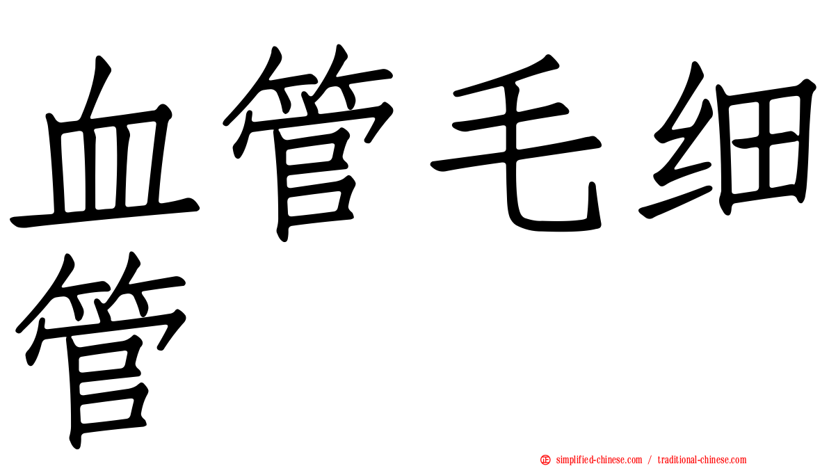 血管毛细管