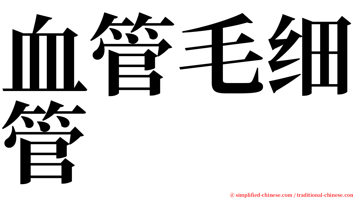 血管毛细管 serif font