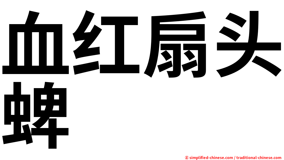 血红扇头蜱