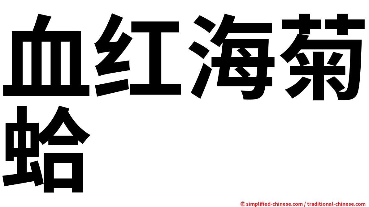 血红海菊蛤