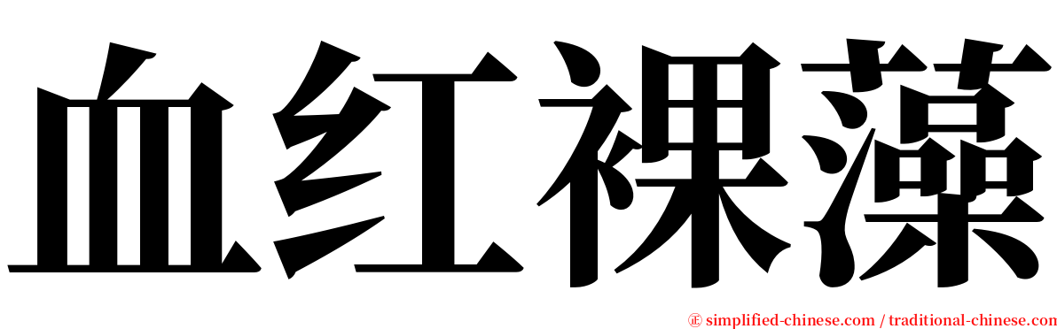 血红裸藻 serif font