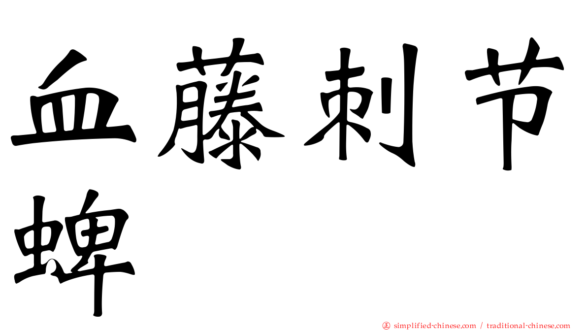 血藤刺节蜱
