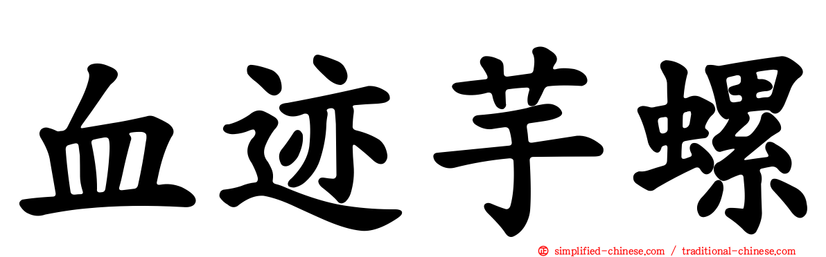 血迹芋螺