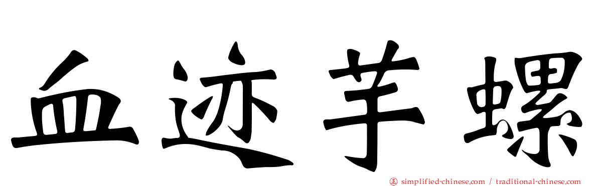 血迹芋螺