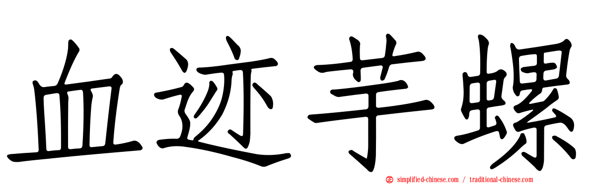血迹芋螺