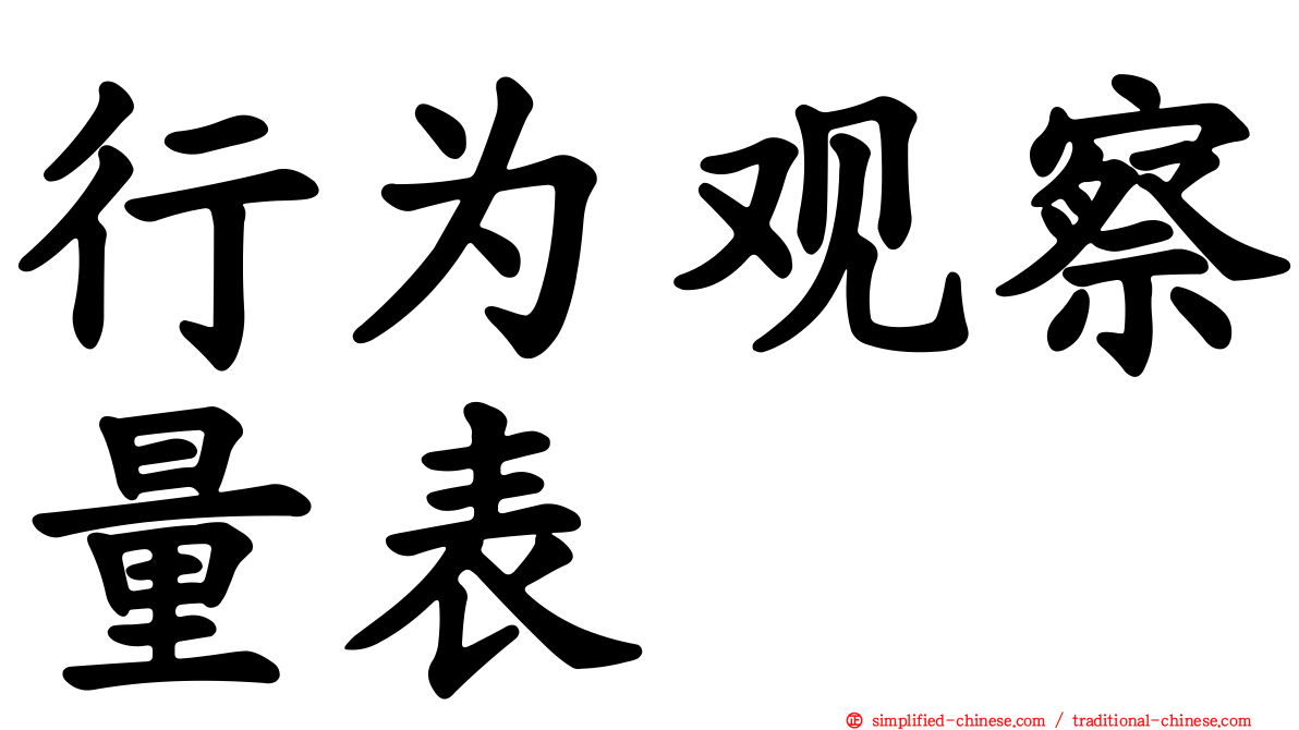 行为观察量表