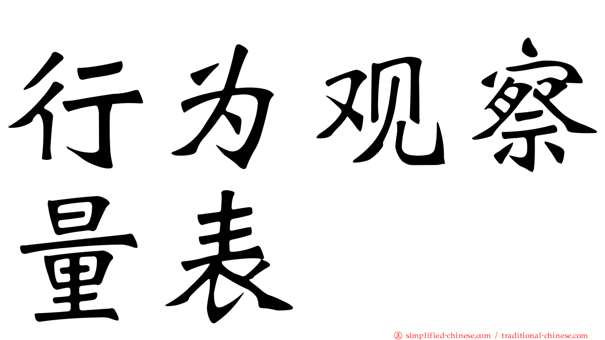 行为观察量表