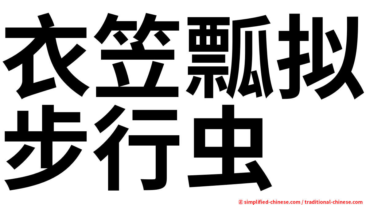 衣笠瓢拟步行虫