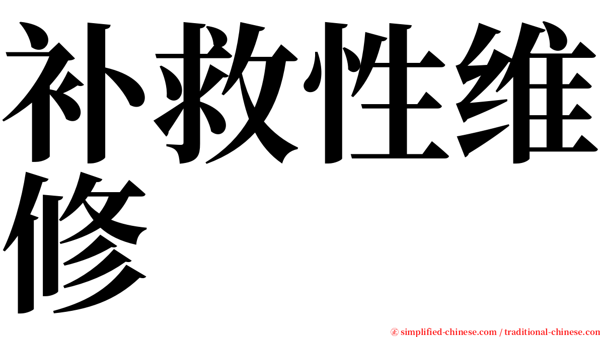 补救性维修 serif font