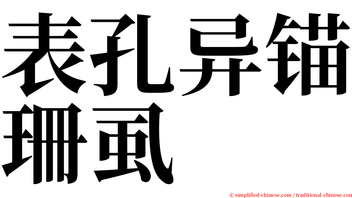 表孔异锚珊虱 serif font