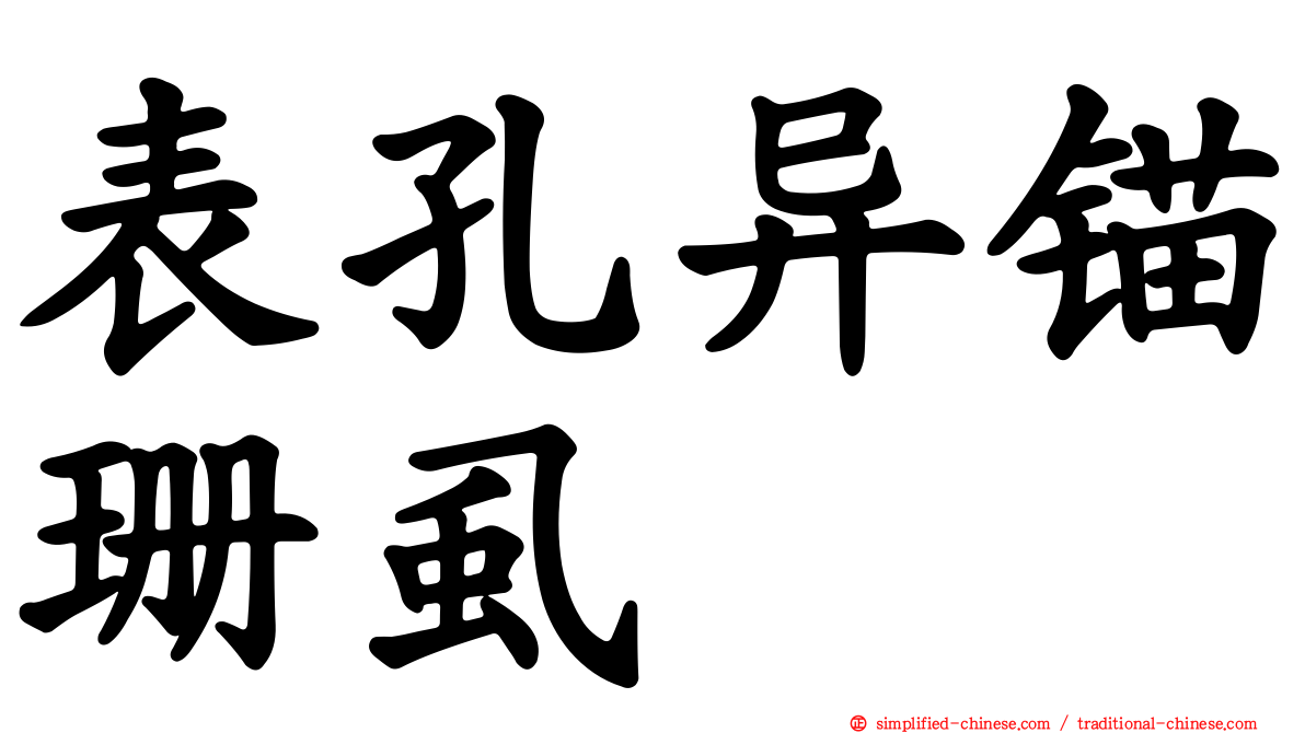 表孔异锚珊虱