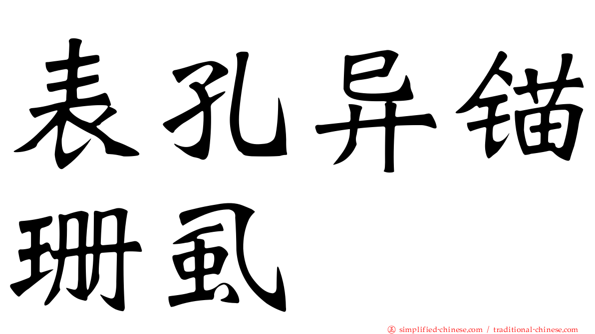 表孔异锚珊虱