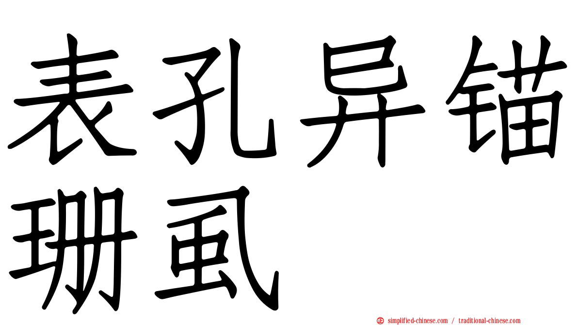 表孔异锚珊虱