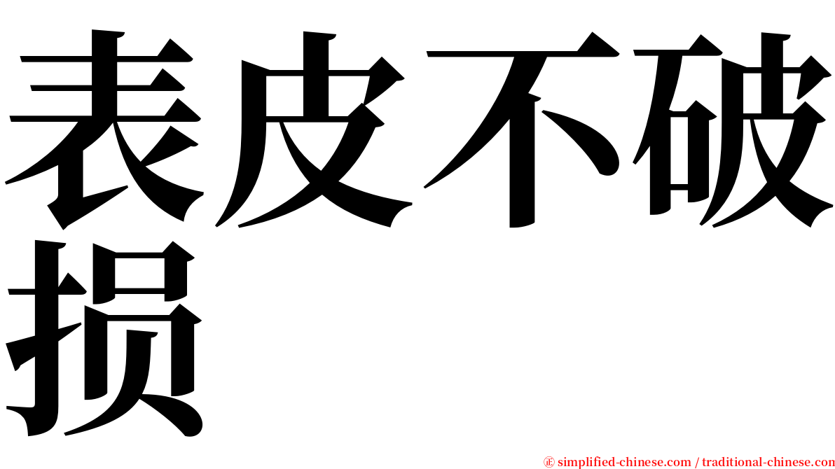 表皮不破损 serif font