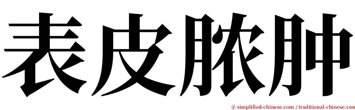 表皮脓肿 serif font