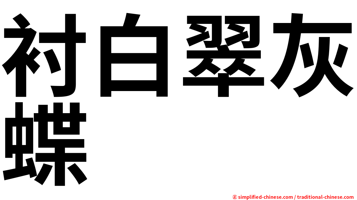 衬白翠灰蝶