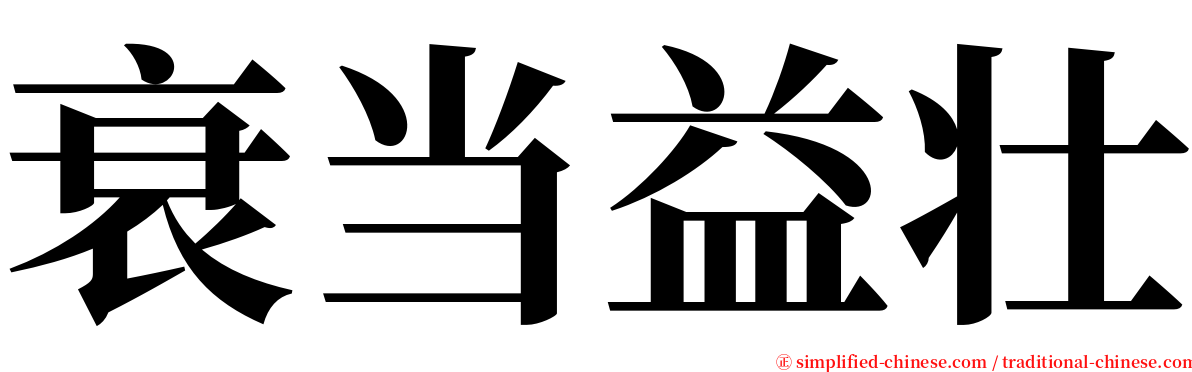 衰当益壮 serif font