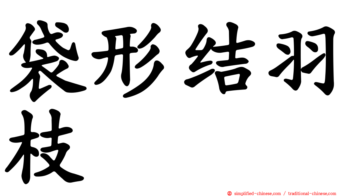 袋形结羽枝